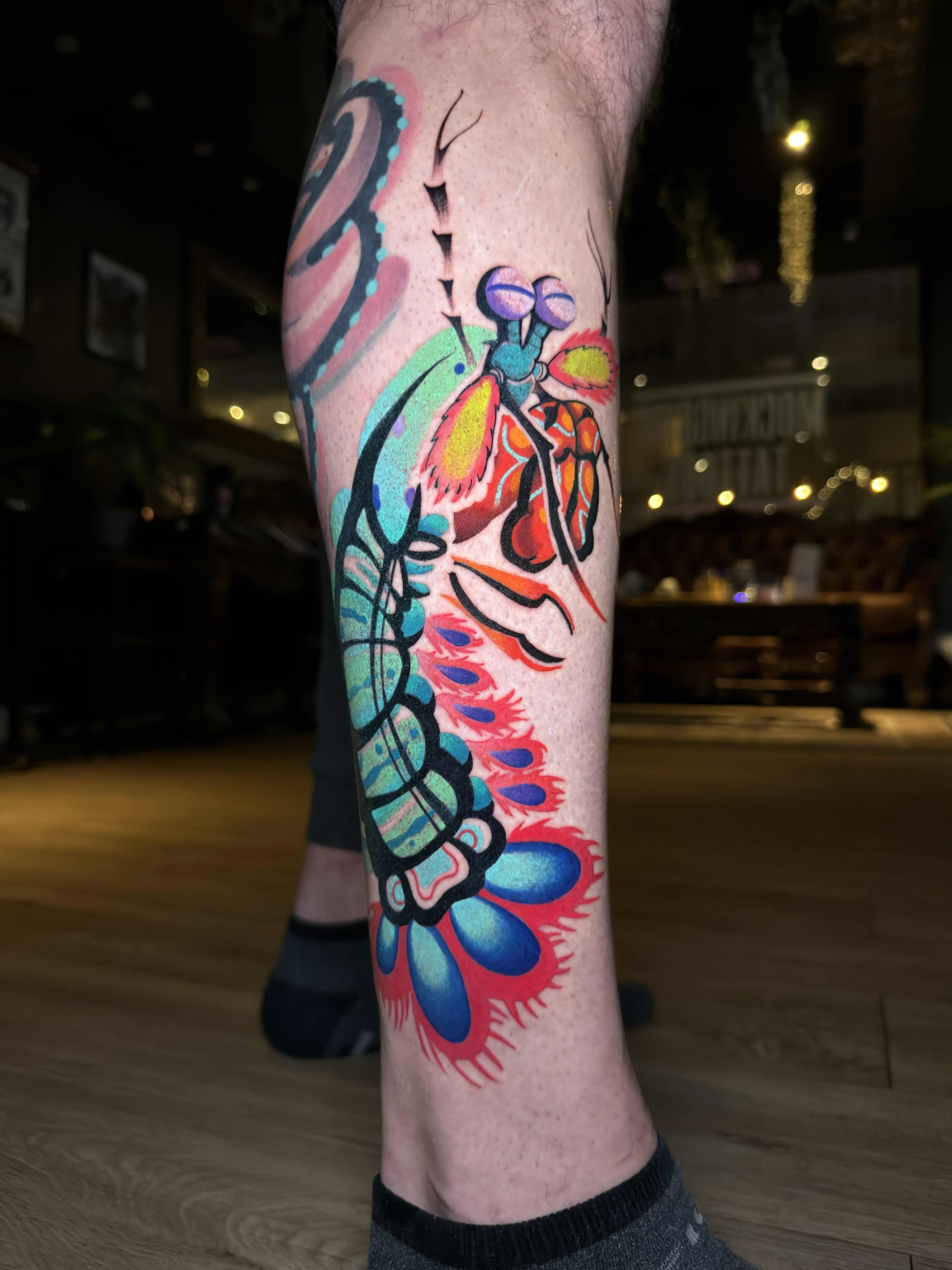 Mantis Shrimp